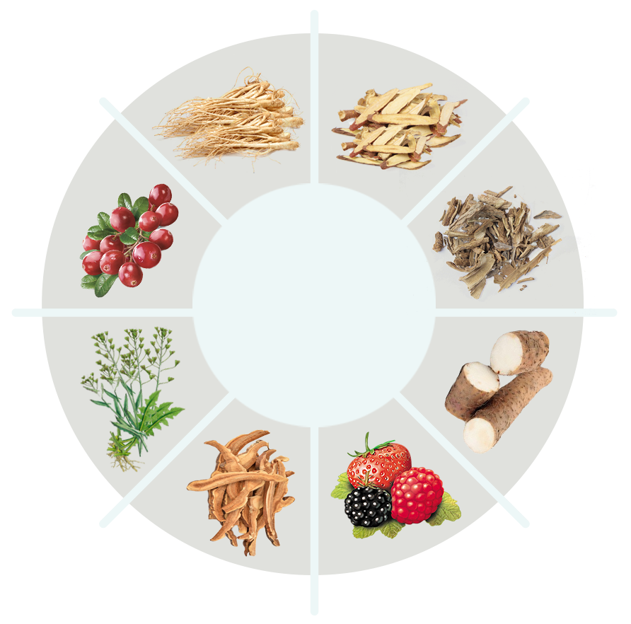 Synogut ingredient label and ingredient profile
